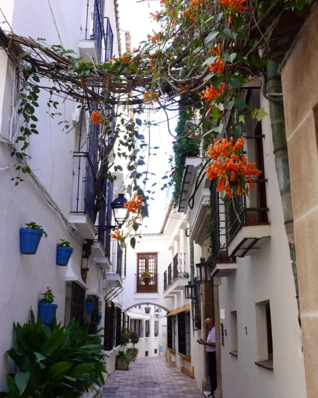 Casa La Tapita Leilighet Marbella Eksteriør bilde