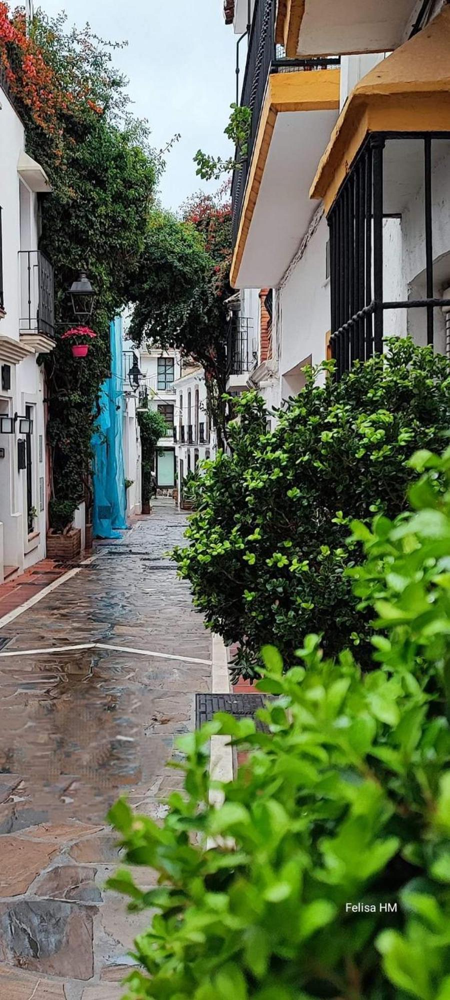 Casa La Tapita Leilighet Marbella Eksteriør bilde
